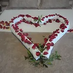 Fortaleza Vip Experience